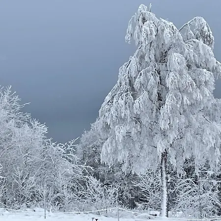 شقة Pistenraeuber