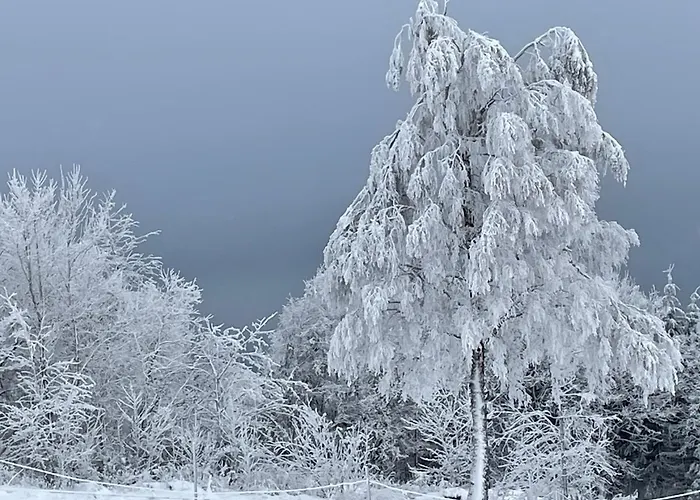 Appartement Pistenraeuber
